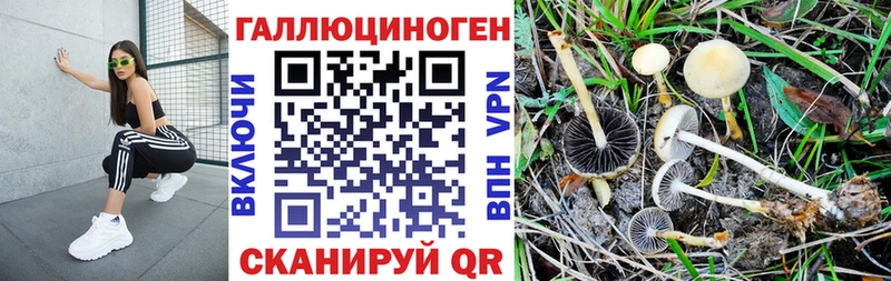 Псилоцибиновые грибы Cubensis Камешково